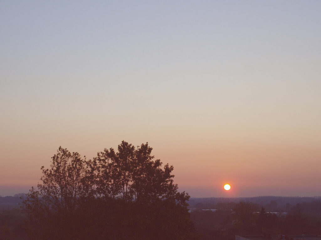 sunse with clear sky and a tree