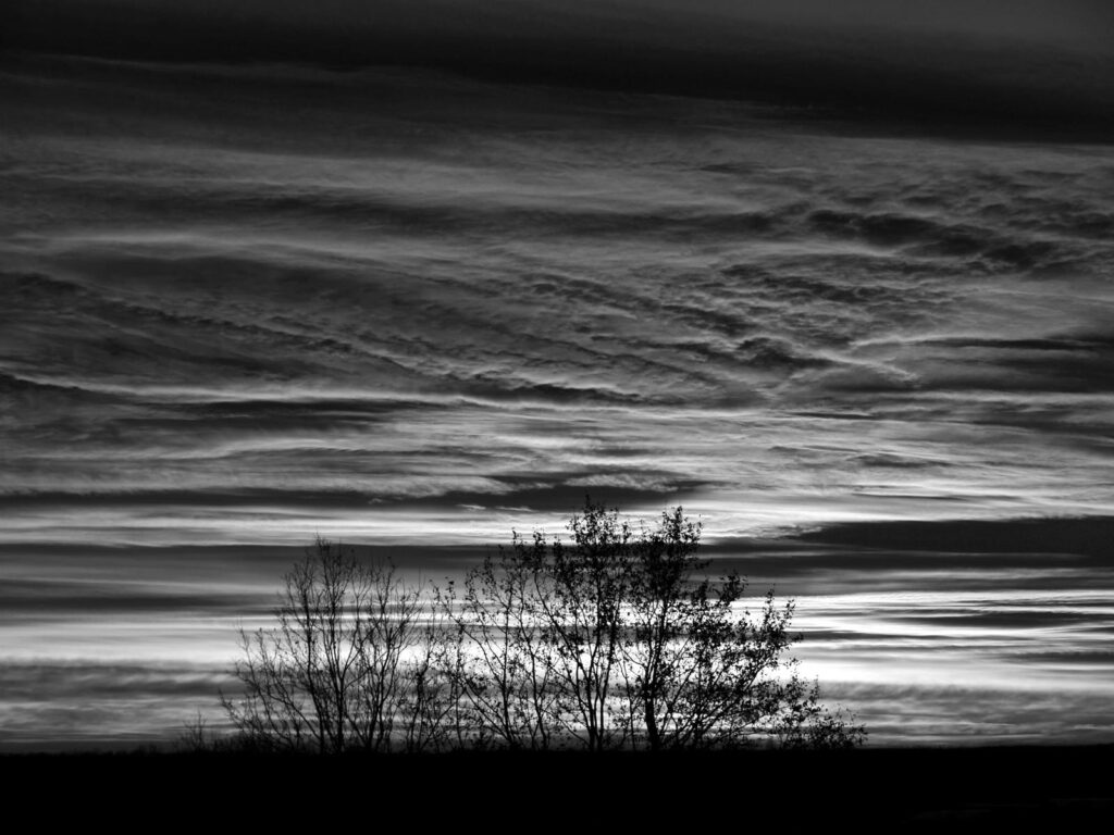 black and white photo of a sunset with a tres