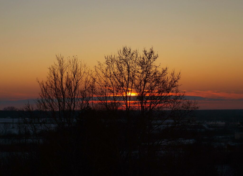 red, orange and yellow sunset with the setting sun and tree