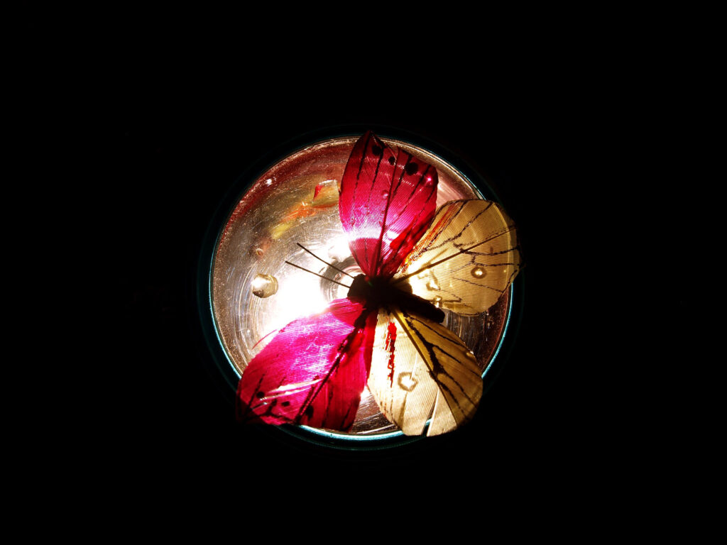 hunger-for-light-project-photo